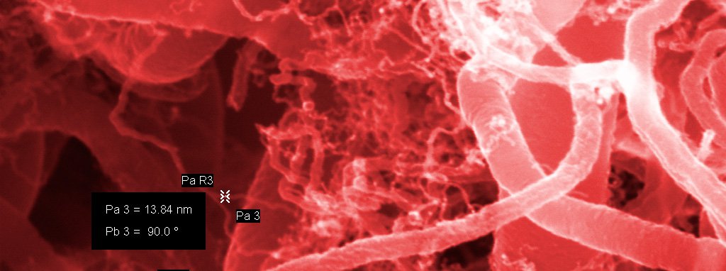 Microscope view